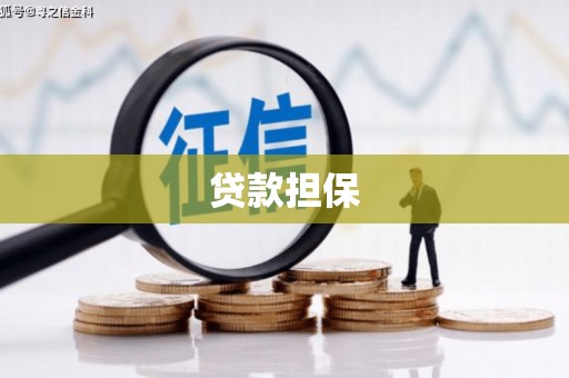 莎车贷款担保