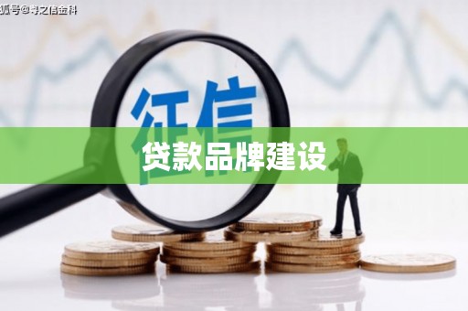莎车贷款品牌建设