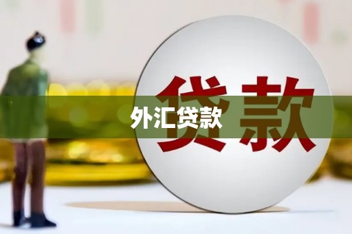 莎车外汇贷款
