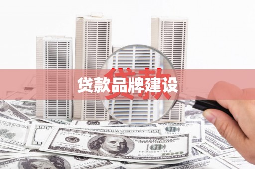 莎车贷款品牌建设