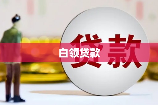 莎车白领贷款