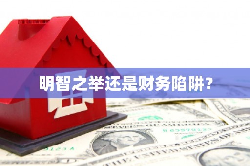 莎车明智之举还是财务陷阱？