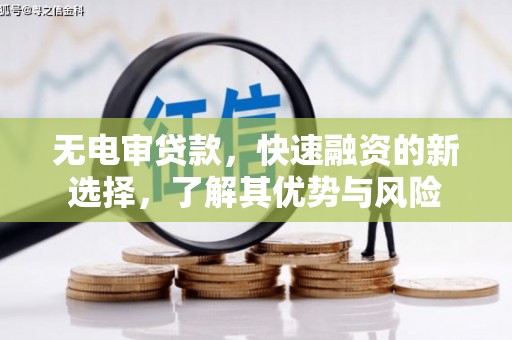 莎车无电审贷款，快速融资的新选择，了解其优势与风险