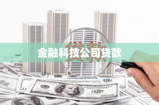 莎车金融科技公司贷款