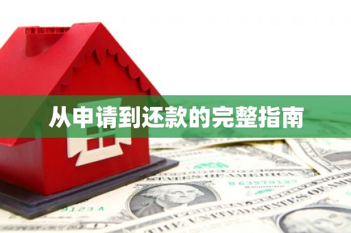 莎车从申请到还款的完整指南