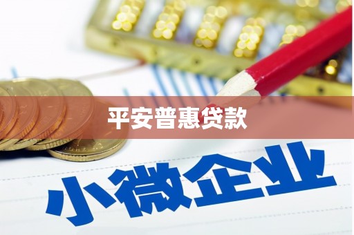 莎车平安普惠贷款