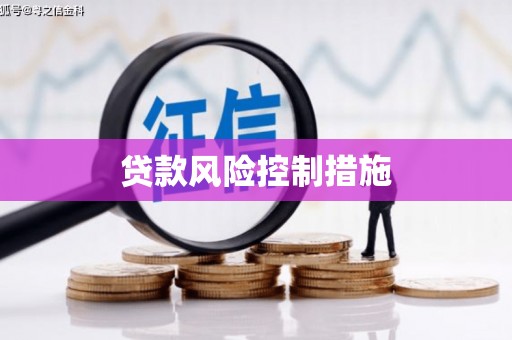 莎车贷款风险控制措施