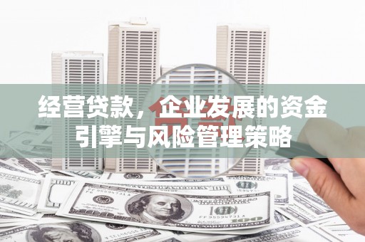 莎车经营贷款，企业发展的资金引擎与风险管理策略