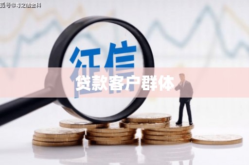 莎车贷款客户群体