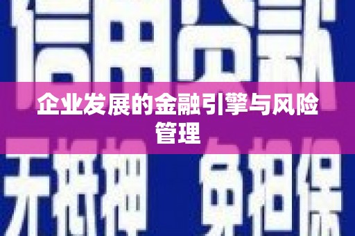 莎车企业发展的金融引擎与风险管理