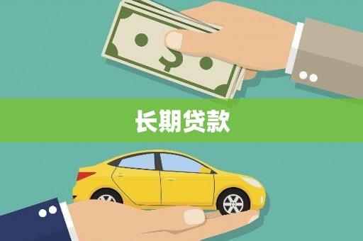 莎车长期贷款