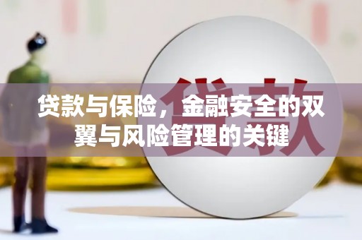莎车贷款与保险，金融安全的双翼与风险管理的关键