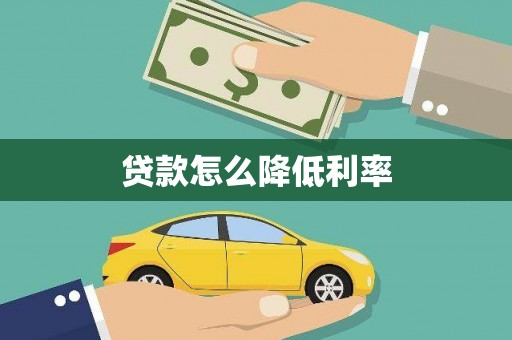 莎车贷款怎么降低利率