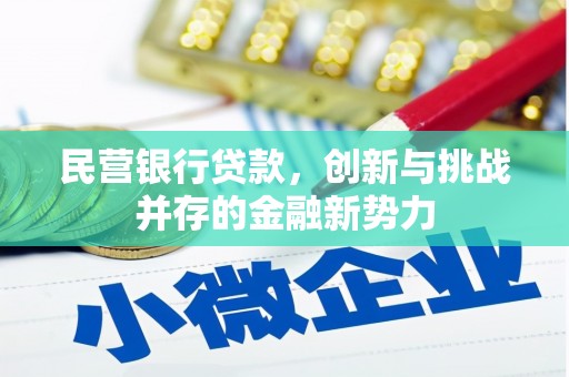 莎车民营银行贷款，创新与挑战并存的金融新势力