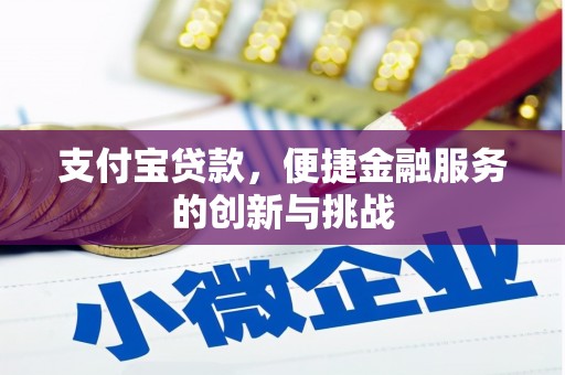 莎车支付宝贷款，便捷金融服务的创新与挑战
