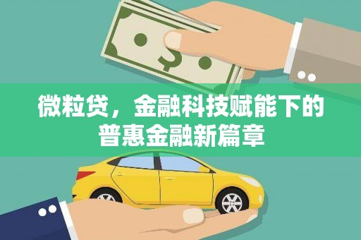 莎车微粒贷，金融科技赋能下的普惠金融新篇章