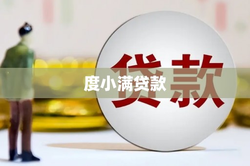 莎车度小满贷款