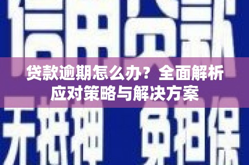 莎车贷款逾期怎么办？全面解析应对策略与解决方案
