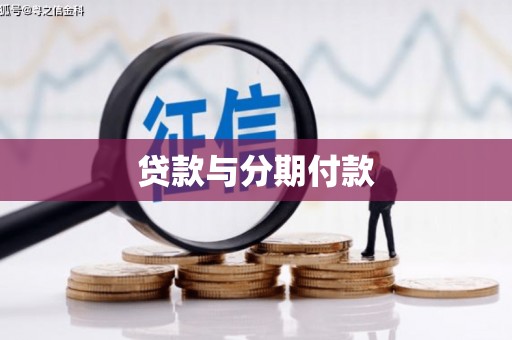 莎车贷款与分期付款