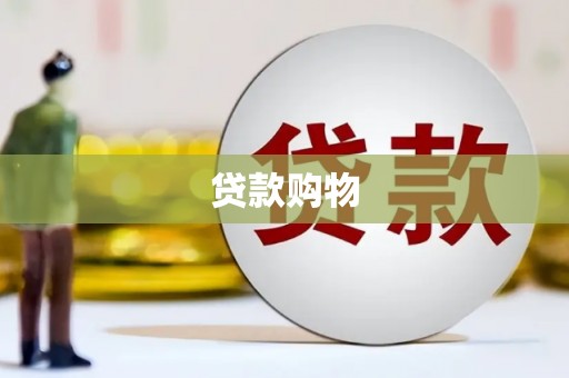 莎车贷款购物