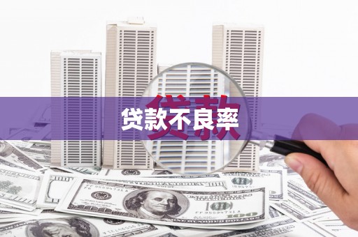 莎车贷款不良率