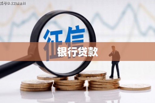 莎车银行贷款