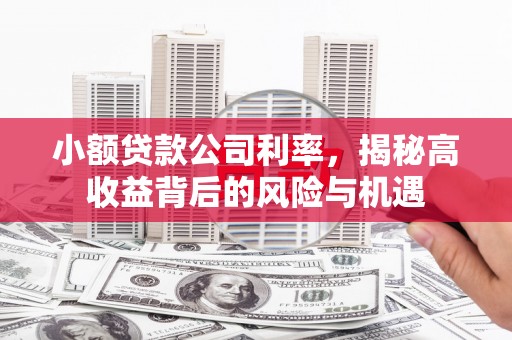 莎车小额贷款公司利率，揭秘高收益背后的风险与机遇