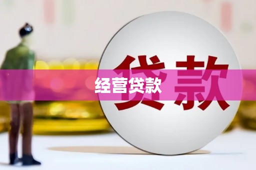 莎车经营贷款
