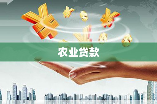莎车农业贷款