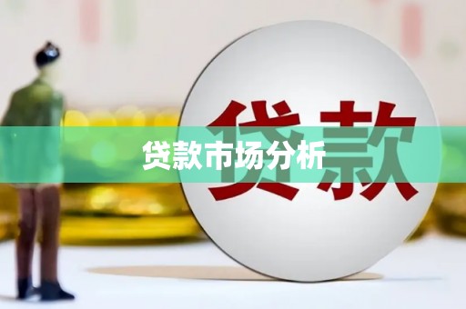 莎车贷款市场分析