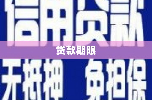 莎车贷款期限