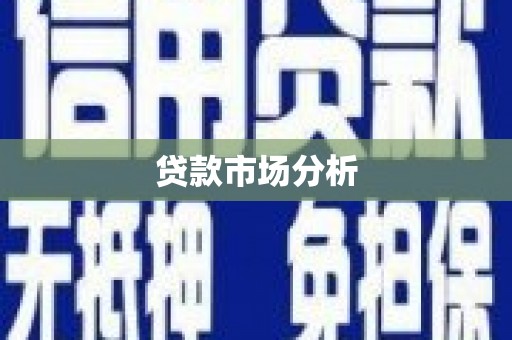 莎车贷款市场分析