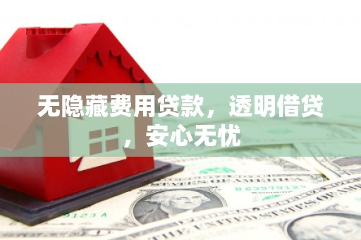 莎车无隐藏费用贷款，透明借贷，安心无忧