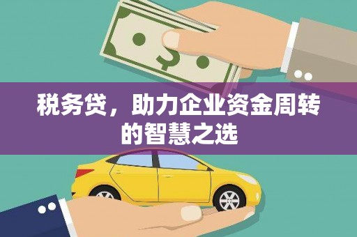 莎车税务贷，助力企业资金周转的智慧之选
