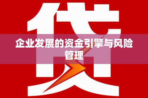 莎车企业发展的资金引擎与风险管理