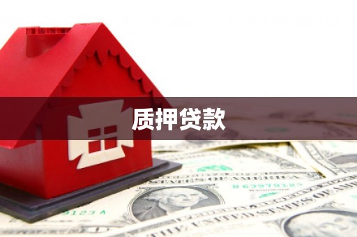 莎车质押贷款