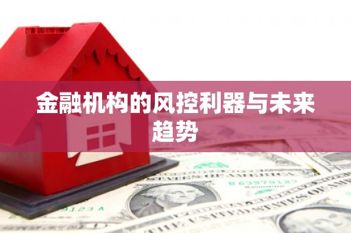 莎车金融机构的风控利器与未来趋势