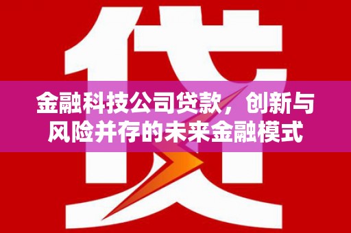 莎车金融科技公司贷款，创新与风险并存的未来金融模式