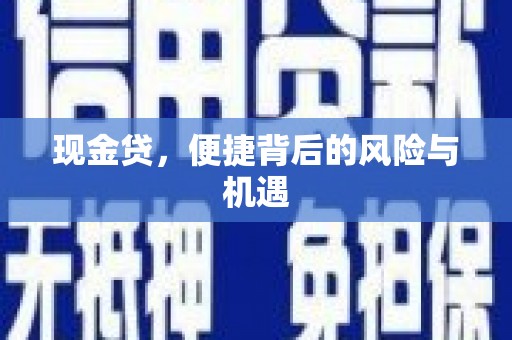 莎车现金贷，便捷背后的风险与机遇