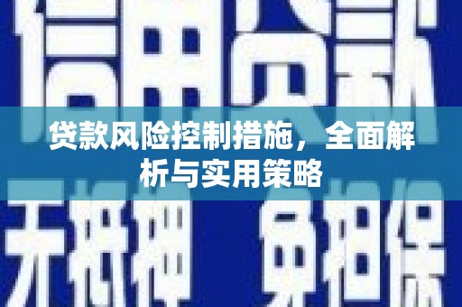 莎车贷款风险控制措施，全面解析与实用策略