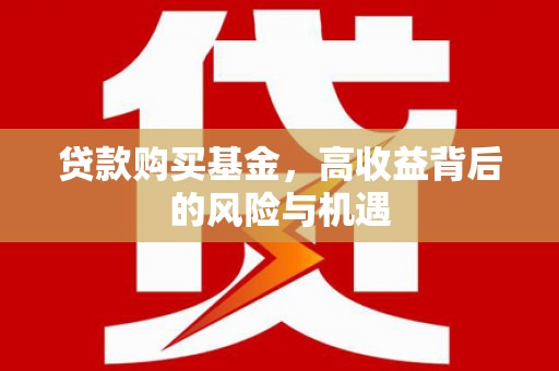 莎车贷款购买基金，高收益背后的风险与机遇