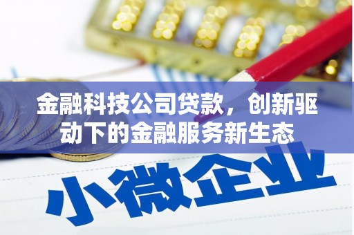 莎车金融科技公司贷款，创新驱动下的金融服务新生态