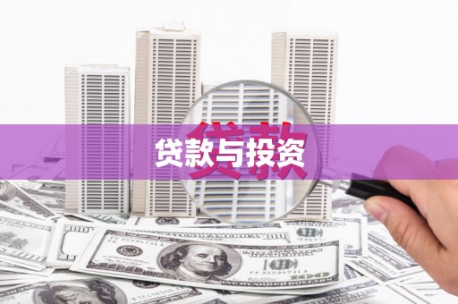 莎车贷款与投资