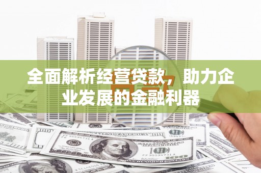 莎车全面解析经营贷款，助力企业发展的金融利器
