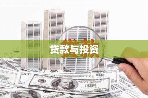 莎车贷款与投资