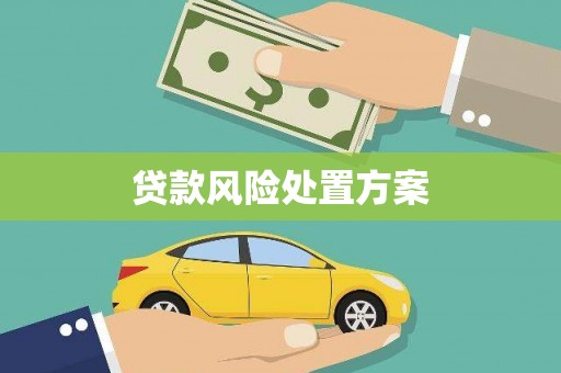 莎车贷款风险处置方案