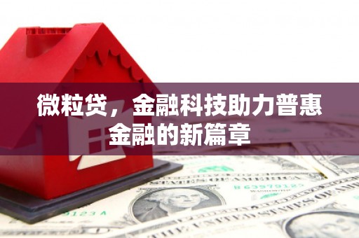 莎车微粒贷，金融科技助力普惠金融的新篇章