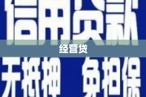 莎车经营贷