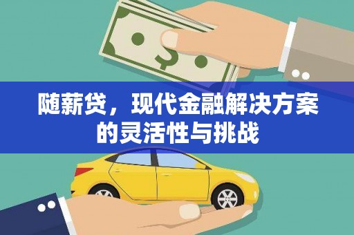 莎车随薪贷，现代金融解决方案的灵活性与挑战