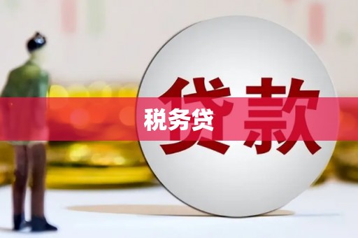 莎车税务贷